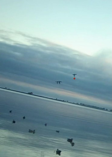 Five more shells and I’m done for the day ! ;-) #duckhunting #waterfowl #hunting #duck