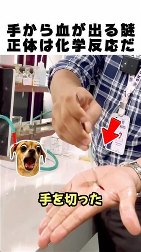 **"*This is done under the guidance of an expert, taking into consideration the effects on the sk...