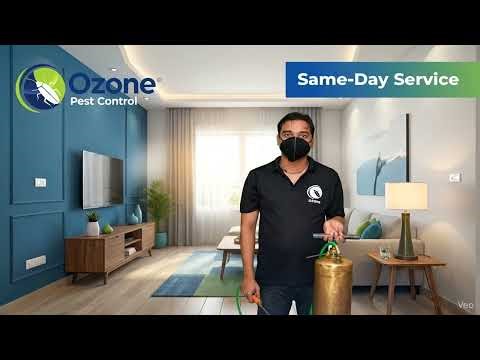 Why Ozone Pest Control Is the Best in East Delhi | Prompt & Good Service | Krishna Nagar | Delhi