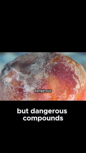 Is Your Refrigerator Secretly Harming Your Health?