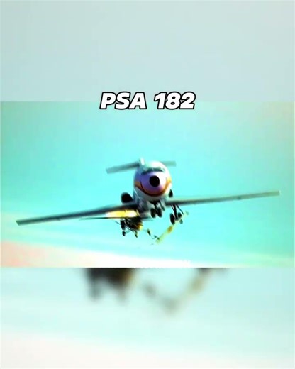 Planes And Their Final Photos😔