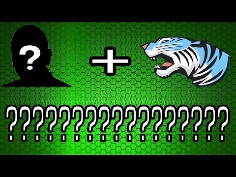 Youtube Collabs? Collabbing with Mr.Beast?