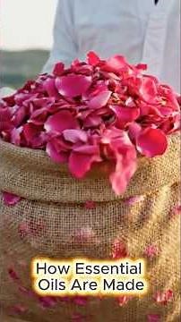 How Essential Oils Are Made #howitsmade #essentialoils #howessentialoilsaremade #aromatherapy