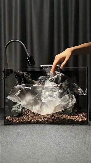 Assemble a desktop fish tank in 10 minutes. #aquarium #fish #aquascape