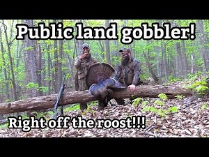 Virginia Public Land Mountain Gobbler! Spring Gobbler Turkey Hunt 2024 - Ridge Raised Outdoors