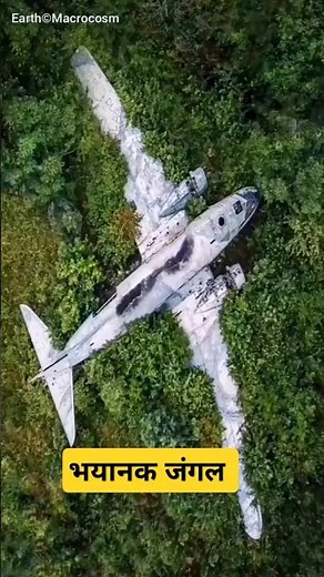 Amazon Forest #amazonrainforest #youtubeshorts