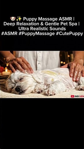 🐶✨ Puppy Massage ASMR |Deep Relaxation & Gentle Pet Spa #ASMR #PuppyMassage #CutePuppy