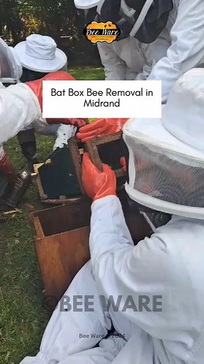 Process of bee relocation in action! #beeremoval #beecourse #beetraining #beewarecenturion #midrand | Bee WARE