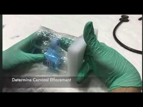 Internal examination ( vaginal )