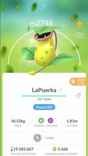 VICTREEBEL 100% IV at 4105 CP 😱 SUPER POWERFUL MEGA EVOLUTION in Pokémon GO!