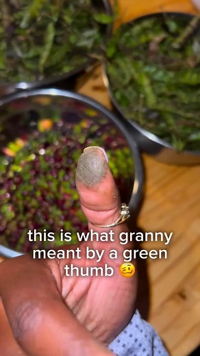 𝗟𝗢𝗩𝗘 𝗛𝗘𝗔𝗟𝗧𝗛 𝗠𝗔𝗥𝗞𝗘𝗧 🌱🍄 on Instagram: "Why did the pea farmer always have a green thumb? Because shelling peas gave him “pea-sy” access to gardening skills! 🤪😅 Shelling peas is a time-honored tradition that connects us to the earth and the fruits of our labor. While it may seem like a laborious task, the rewards are truly worth the effort. As you sit and meticulously shell each pea pod, there’s a meditative quality to the process, allowing you to slow down and appreciate the si