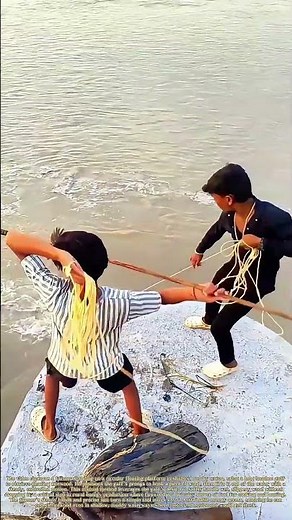 Harvesting the Drift: How a Farmer Uses a Bamboo Gaff to Retrieve Floating Firewood