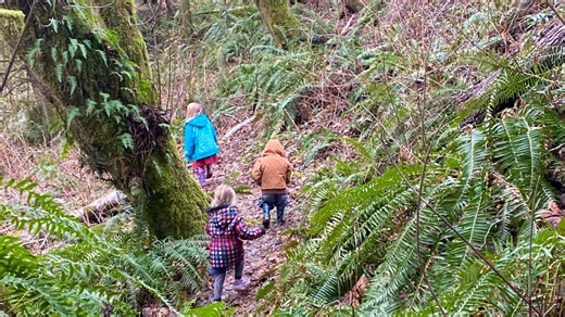 Outdoor learning is the focus of a new elementary school near Port Orchard