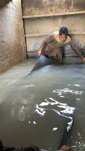 Fish🐟🐋🐟🐋2⃣0⃣2⃣6⃣ #rap #music #newmusic #fishing #freestyle #funnyanimal #fish #funnyfish #hiphop