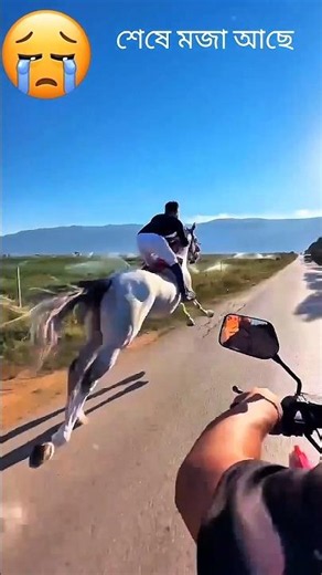 Amazing Horse Riding Moments 🐎🔥 | Beautiful Horse Race & Riding Skills #Shorts