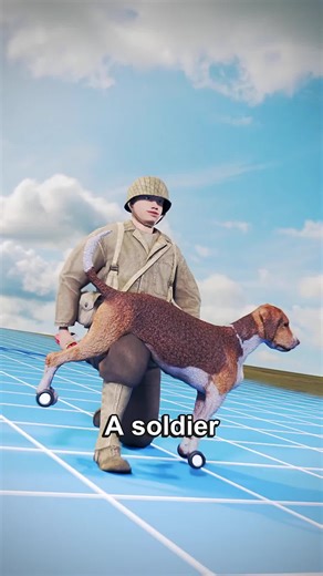 ralis81 (@ralis81)’s videos with original sound - ralis81