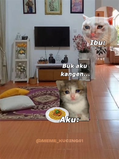Meme Kucing Sedih yang Menghibur dan Lucu