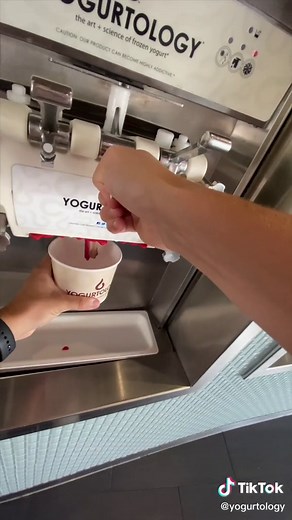 Differences between Frozen Yogurt and Ice Cream Explained
