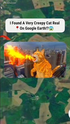 I Found cat on Google Earth and Google maps #shorts #funny #findearthhand #youtubeshorts #earth