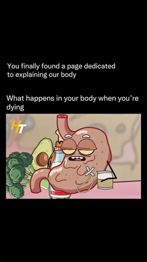 Explaining Our Body on Instagram: "Your body has a very specific order it follows when you’re dying — and it’s nothing like TV shows make it seem. Certain organs start shutting down first to conserve energy, while your brain and heart are protected for as long as possible. Your breathing changes, your senses shift, and the body goes into a kind of “emergency mode,” trying to keep you alive even when everything is failing. It’s one of the most fascinating reminders of how hard your body fights fo