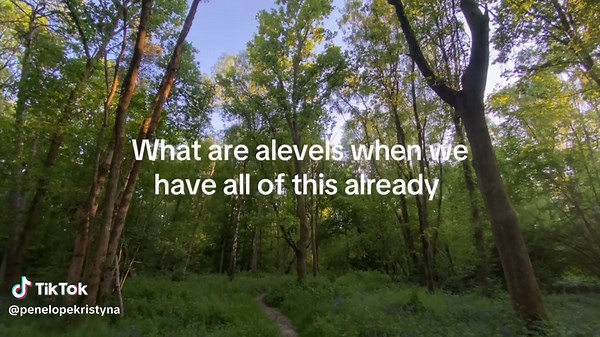 Ignorance is bliss #alevels #hopecore