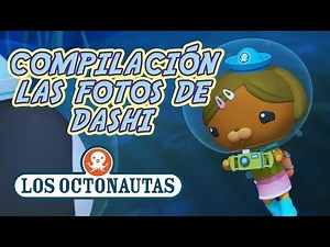 Los Octonautas Oficial En Español - Compilación Las Fotos de Dashi