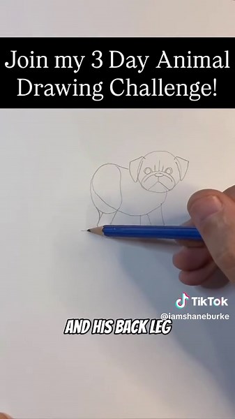 Join the Free 3-Day Animal Drawing Challenge