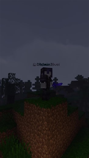 More info and ip in bio. #minecraft #smp #minecraftsmp #java #bedrock