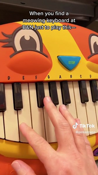Funny Meowing Keyboard Performance