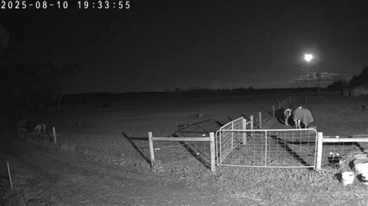 Farm Cameras Catch Meteor Streaking Over Southwest Victoria