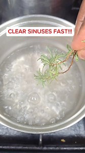 409K views · 2.9K reactions | How to Make Oregano, Peppermint, Rosemary & Blue Vervain Tea✨ #HowToMakeTea #HerbalTea #OreganoBenefits #PeppermintTea #RosemaryHealing #BlueVervain #NaturalHealing #HolisticWellness #HealingWithHerbs #NatureCures | Javaun Thompson | Facebook