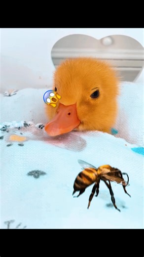 Engaging Kids' Cartoon Learning Adventure