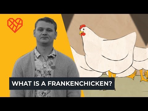 What is a Frankenchicken?