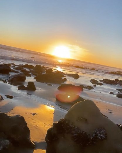 Britt Stewart on Instagram: "Friday Theme: Dare to DREAM! We talked about how we get in touch with what we desire and putting those to paper. Now it’s time to put our thoughts and words into action! Let’s be real, this can be the hardest part, especially for me! I can sit on an idea, goal or thought for way too long. But there comes a time when we have to build up the courage and take the first step into action. Not letting fear get in the way and moving forward in love and positivity. That firs