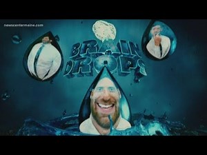 BrainDrops: The quirkiest inventions of 2019.