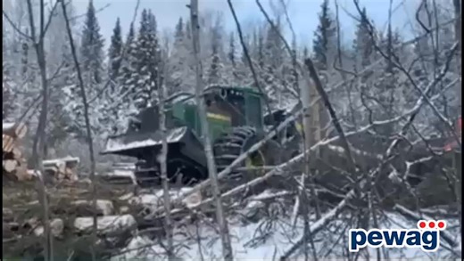 Put more power to the ground and upgrade your skidder with pewag bluetrack wheel tracks. Looking👌out there guys! https://wallingfords.com/products/bluetrack-mono-skidder/ #performanceforestryequipment #pewagforestry #forestryequipment #logging #traction #pewag | Wallingford's Inc.