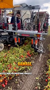 Farming Meets Futuristic Tech Robots are transforming tomato harvesting—faster, smarter, and more precise than ever! #SmartFarming #AgriTech #TomatoHarvest #Automation #FutureOfFarming | Truth Unlocked