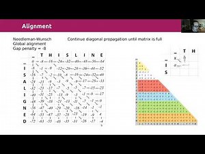 alignment of sequences