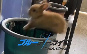 RABBIT DANCE.mp3