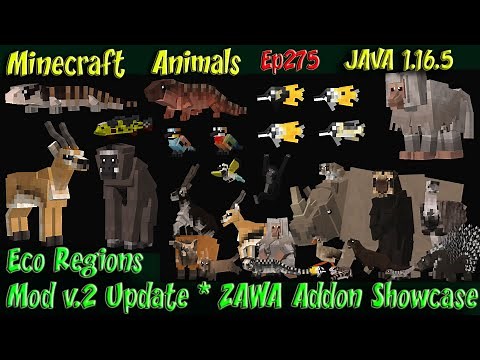 Eco Regions Mod v2 Update | A ZAWA Addon Showcase JAVA 1.16.5 Minecraft Animals Ep275
