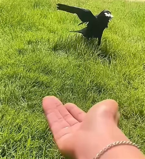 1K views |  A Mailbox Miracle!  A trip to get the mail turned into...