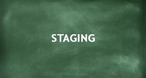 Staging – The Third Principle | Principles Of Animation