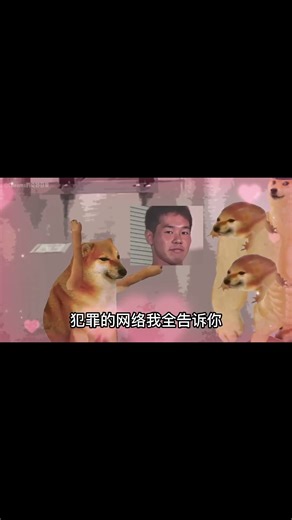 耍张三 ys13站自动鬼畜的WZ#cheems #鬼畜 #搞笑 #张三法外狂徒