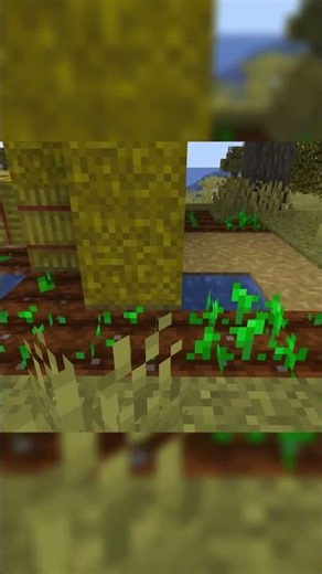 NEXT BIG SMP JOIN NOW