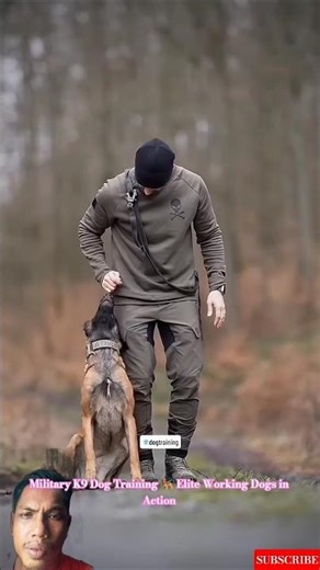 Military K9 Dog Training 🐕‍🦺 Elite Working Dogs in Action #malinois #dogtraining #dogtrainer