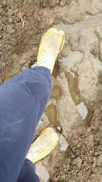 Muddy field walk with Nike Free Run 4.0