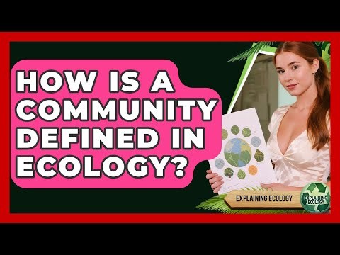 How Is A Community Defined In Ecology? - Explaining Ecology