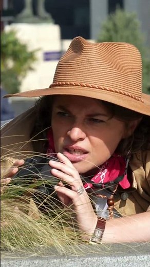 Safari after work - Lucie Carbone #humor #corporate #work