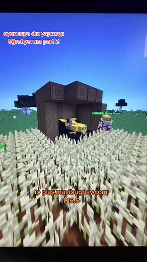 Minecraft Server Tour 2024: Exploring Dacia Towny Part 2