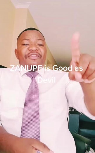 Understanding ZANUPF: Implications of Controversial Statements